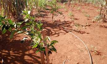 Imagem 4: Chácara Chácara com venda por R$82.000