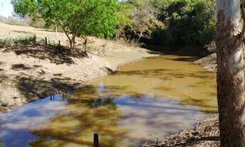 Imagem 3: Chacara de 2 alqueires formada com represa tanque de peixe riacho a 85 km de goiania
