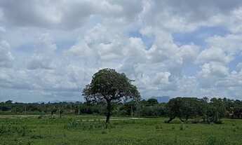 Imagem: Loteamento Caucaia Center Pronto Para Construir
