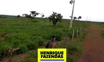Imagem 3: Fazenda Novo Acordo