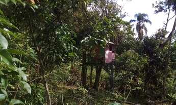 Imagem 6: Chácara com casa de madeira e banheiro de alvenaria em Paranaguá PR