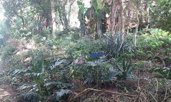 Imagem 2: Granja Viana - Terreno à venda, 563 m² por R$ 195.000 - Granja Carneiro Viana - Cotia/SP