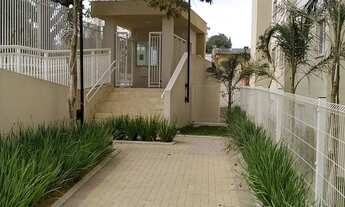 Imagem: Apartamentos Lançamento