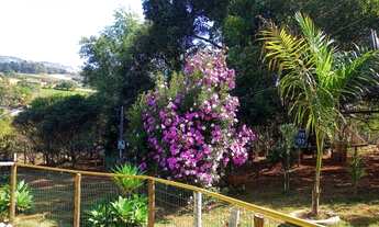 Imagem 3: Chácara em pouso Alegre mg