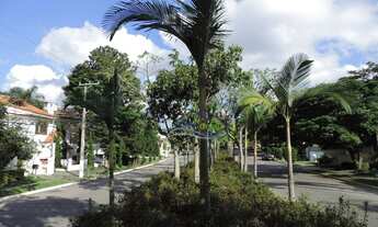 Imagem 6: GRANJA VIANA - SÃO PAULO II