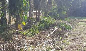 Imagem 5: Terreno a venda em Itapoá. Balneário Brandalise