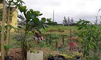 Imagem 5: Terreno Ilha Comprida,vendo ou troco por chácara