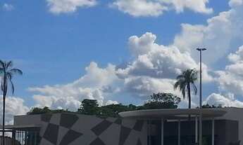 Imagem 5: Oportunidade florais do valle