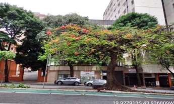 Imagem 4: Loja COMERCIAL em BELO HORIZONTE - MG, CENTRO