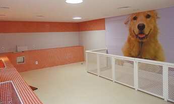 Imagem: APARTAMENTO 3 DORMITÓRIOS, 2 SUÍTES, 1