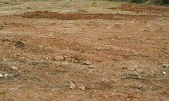 Imagem 4: Terreno comercial ou residencial no Ipiranga 3.300m²