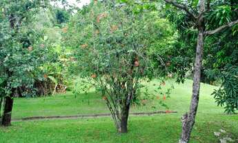 Imagem 7: Chácara com 4 dormitórios à venda, 10000 m² por R$ 1.445.000,00 - Floresta Escura - São Pe