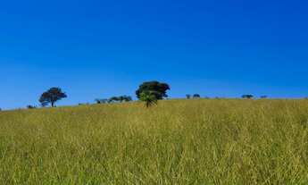 Imagem 4: Vendo Terrenos de 20.000m² em Condomínio 64.625 + Parcelas
