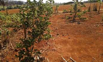 Imagem 6: Chácara Chácara com venda por R$82.000