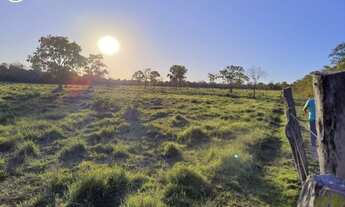 Imagem 4: FAZENDA À VENDDA EM ARAGUAINA - TO - 484 HECTARES (DUPLA APTIDÃO