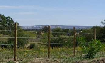 Imagem 3: Terreno / Lote de 1000m2 à venda
