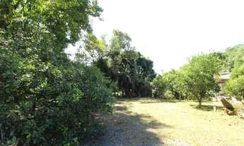 Imagem 7: BLUMENAU - Casa Comercial - Escola Agrícola