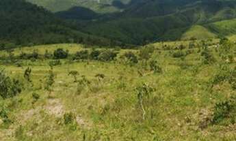 Imagem 7: Fazenda de 102 alqueires em Padre Bernardo Go