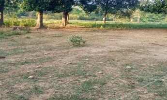 Imagem 3: Chácara para venda na Ponte Alta do Gama - DF