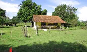 Imagem 5: Imobiliária Fabio Paes - Sítio a venda BEIRA RIO com 4 alq (19.36 ha) planos