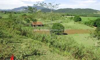 Imagem 3: Imobiliária Fabio Paes - Sítio a venda BEIRA RIO com 4 alq (19.36 ha) planos