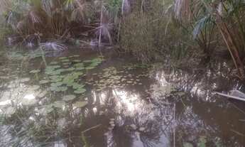 Imagem 5: Sítio excelente