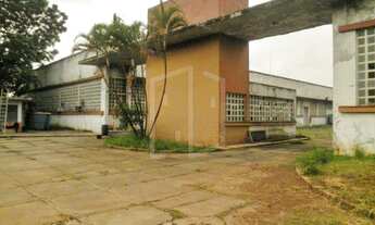 Imagem 2: Terreno-À VENDA-Parque São Domingos-São Paulo-SP