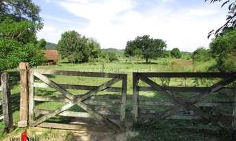 Imagem 2: Imobiliária Fabio Paes - Sítio a venda BEIRA RIO com 4 alq (19.36 ha) planos