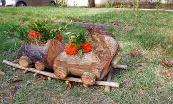 Imagem 7: CHÁCARA PARA QUEM QUER VIVER BEM!