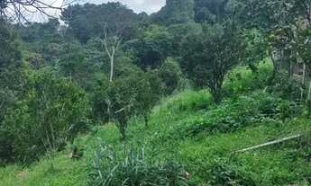 Imagem 3: Chácara com 5 dormitórios - em Juquitiba SP