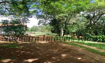 Imagem 7: Sítio com 5 alqueires em Cesário Lange - SP (Nogueira Imóveis Rurais