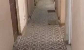 Imagem 6: Aluga Apartamento!Rua Correia Dias Bairro Vigário Geral