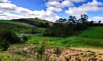 Imagem 3: Lote/Terreno para venda possui 500 metros quadrados em Graça - Cotia - SP