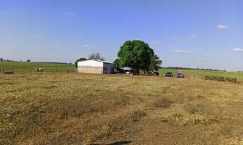 Imagem 5: Fazenda na região de Umuarama - Pr