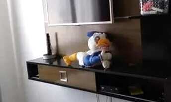 Imagem 5: Apartamento em Perequê - Porto Belo