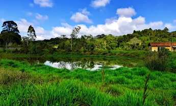 Imagem 4: Lote/Terreno para venda possui 500 metros quadrados em Graça - Cotia - SP