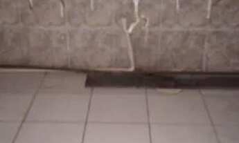 Imagem 7: Otimo espacoso kitnet R$550,00 otima oportunidade em vargen grande no ZAP