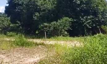 Imagem 2: Excelente terreno a venda na ilha de Itaparica