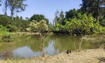 Imagem 3: Lote/Terreno para venda com 175 metros quadrados em Parque Novo Mundo - São Paulo - SP