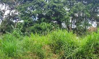 Imagem 5: Terreno em São Lourenço da Serra