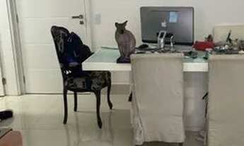 Imagem 3: Apartamento para locação no Bosque das Juritis com 02 suítes