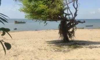 Imagem 4: Terreno com Casa na praia de Santarém - Pa