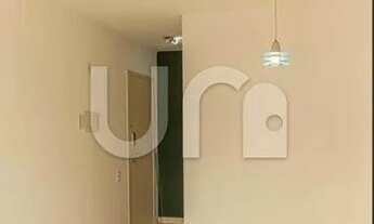 Imagem 5: Apartamento em Cambuci para alugar - São Paulo