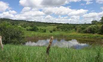 Imagem 5: Fazenda no Km 100