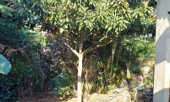 Imagem 6: Chácara c/ casa simples no bairro Genebra próx. a Brigadeiro Tobias. Aceita permuta