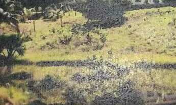 Imagem: /Terreno com 270 hectares na BR 174