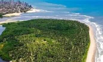 Imagem: Black Friday apto 1 quarto 33 M2 R$235.000