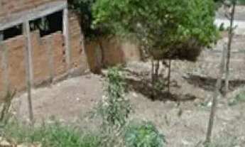 Imagem: Lote Santa Cecília, Esmeraldas