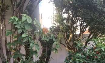 Imagem 3: Excelente terreno com 17 m de frente no Anália Franco