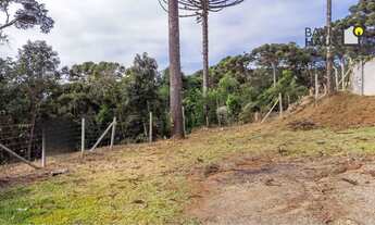 Imagem 6: Terreno à venda, 5000 m² - Palmitalzinho - Quatro Barras/Paraná